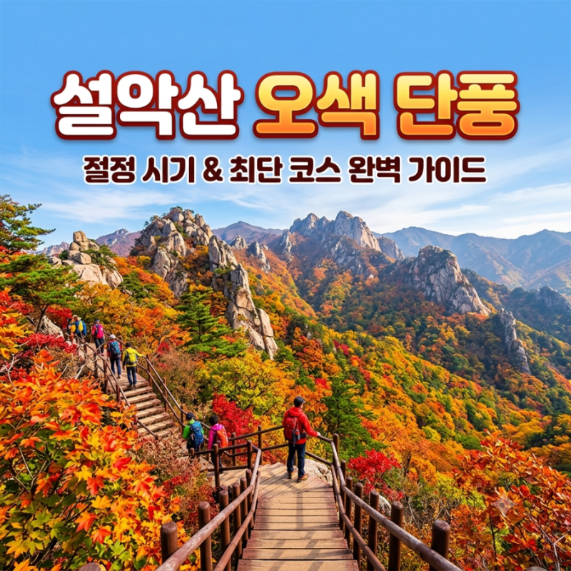 2026 설악산 단풍 시기 절정일 & 초보자 최단 코스 총정리 케이블카 타고 즐기는 설악산 등산 ....