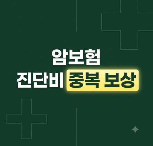 암보험 가입 전 체크사항 7가지｜50대,60대 진단비부터 보장범위, 갱신형·비갱신형까지 확인....