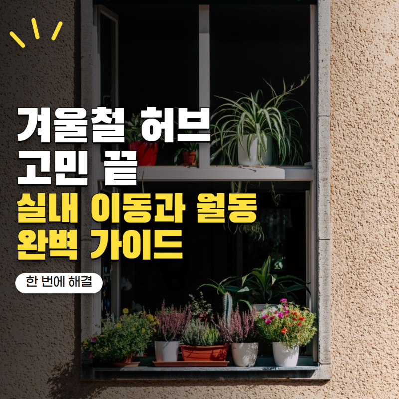 허브 키우기 겨울이 걱정된다면? 실내로 들여야 하는 허브와 월동 가능한 허브