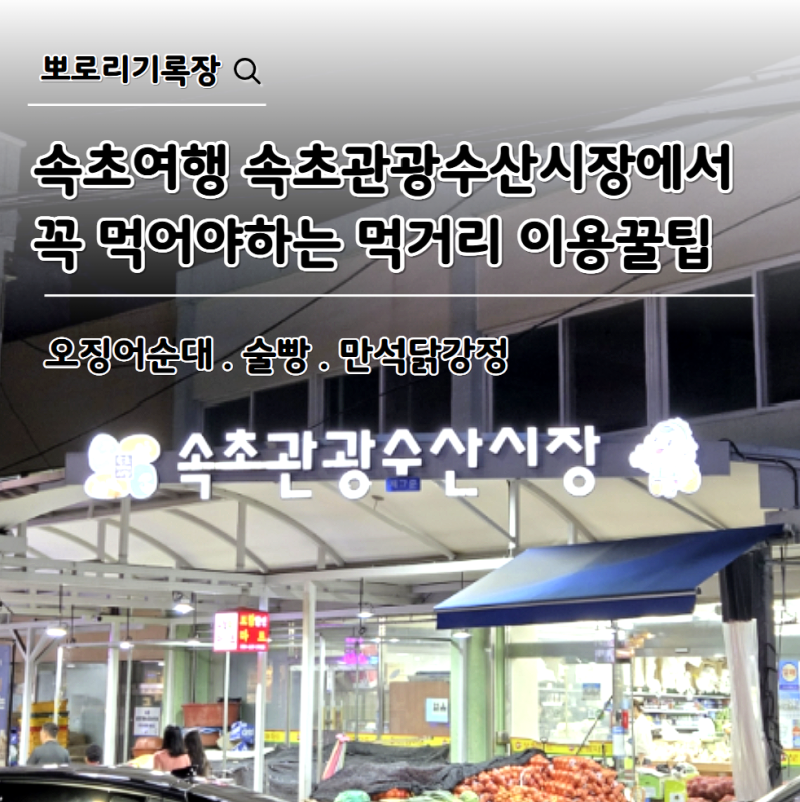 Sokcho Travel: Must-Try Foods at Sokcho Tourist & Fishery Market and Tips for Your Visit