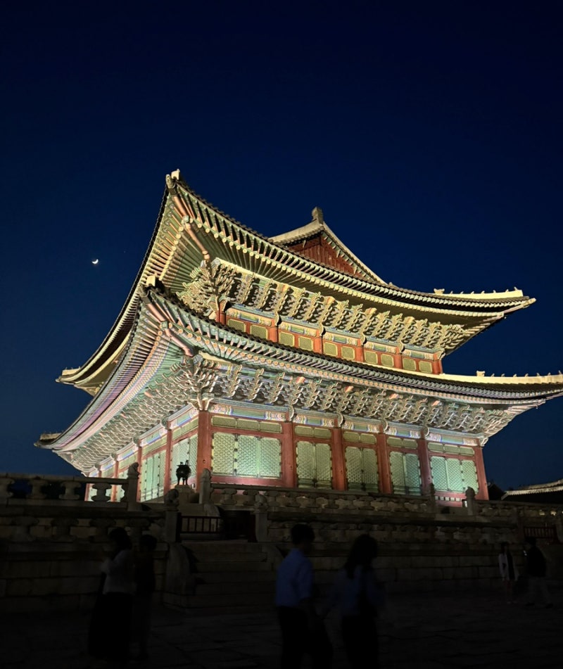경복궁 야간개장 vs 별빛야행 차이점 총정리! 티켓 예매 실패했을 때 현장 입장 팁