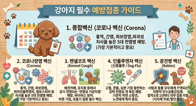 강아지 예방접종! 백신 5종 종류부터 접종 전후 주의사항까지 한눈에 보기