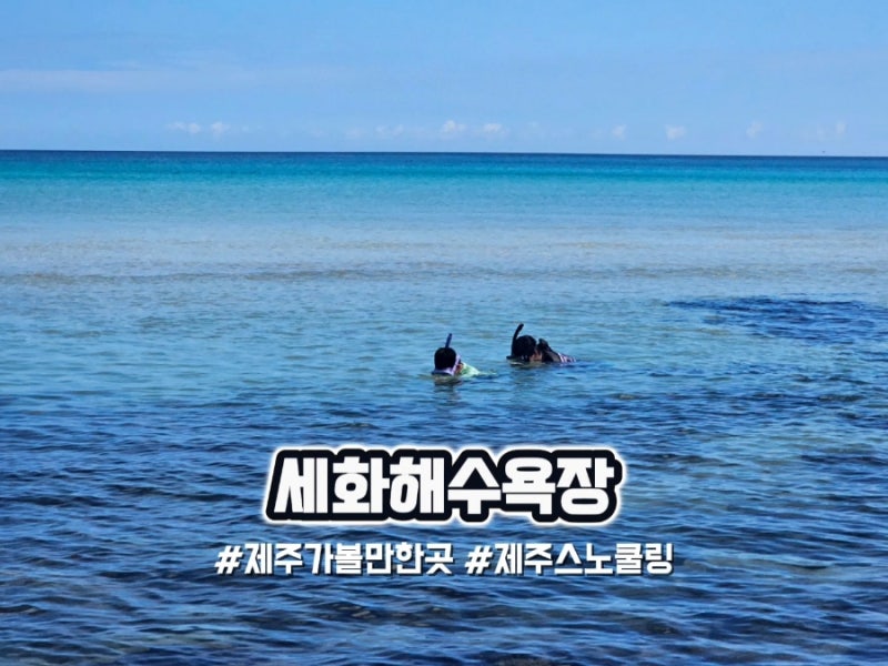 제주가볼만한곳 세화해수욕장 스노쿨링
