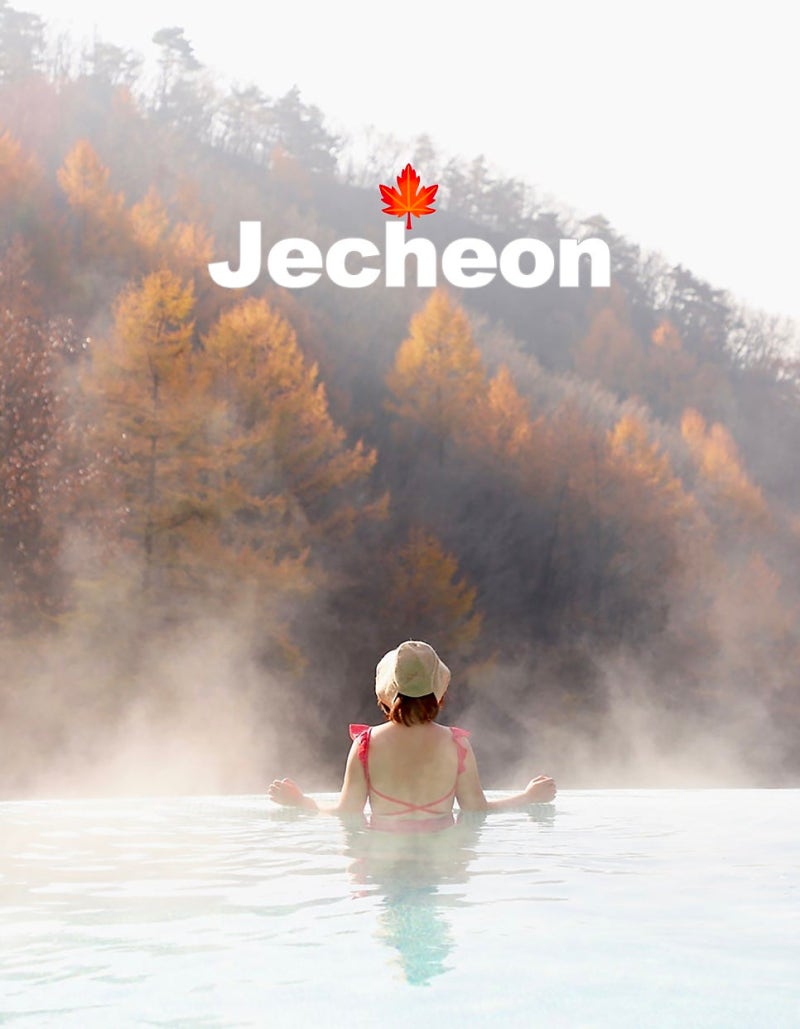 堤川リソムフォレスト レストリー 韓国温泉旅行おすすめ スパホテル