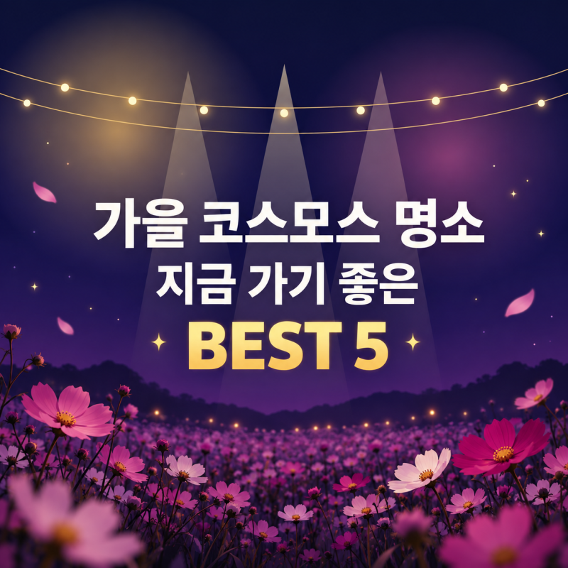 가을 코스모스 명소 총정리 서울.경기부터 경북까지 5곳