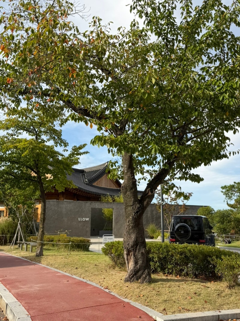 경주 보문단지 카페 추천, 호수 뷰가 예쁜 대형카페 엘로우(LLOW)