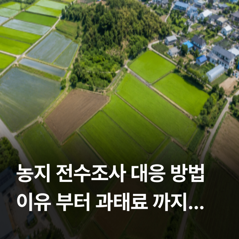 농지 전수조사 이유부터 대상까지 총정리 : 조사원 후기, 대응방법, 과태료, 증여, 실경작 기....