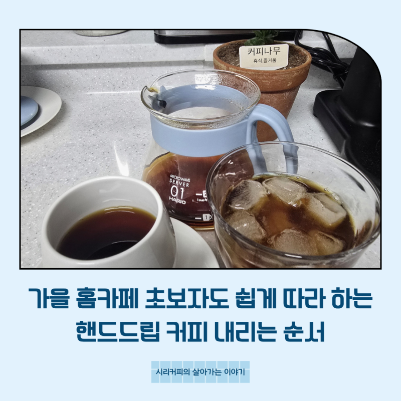 가을 홈카페 초보자도 쉽게 따라 하는 핸드드립 커피 내리는 순서