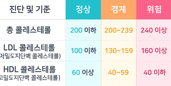 총콜레스테롤 220 위험 수준 낮추는 방법 정리