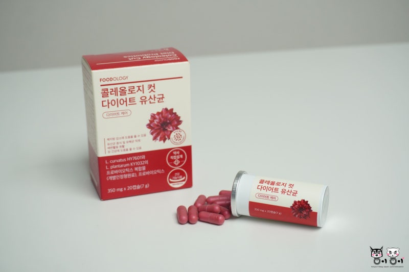다이어트 유산균 추천 간편하게 챙기기 좋은 푸드올로지 콜레올로지 컷