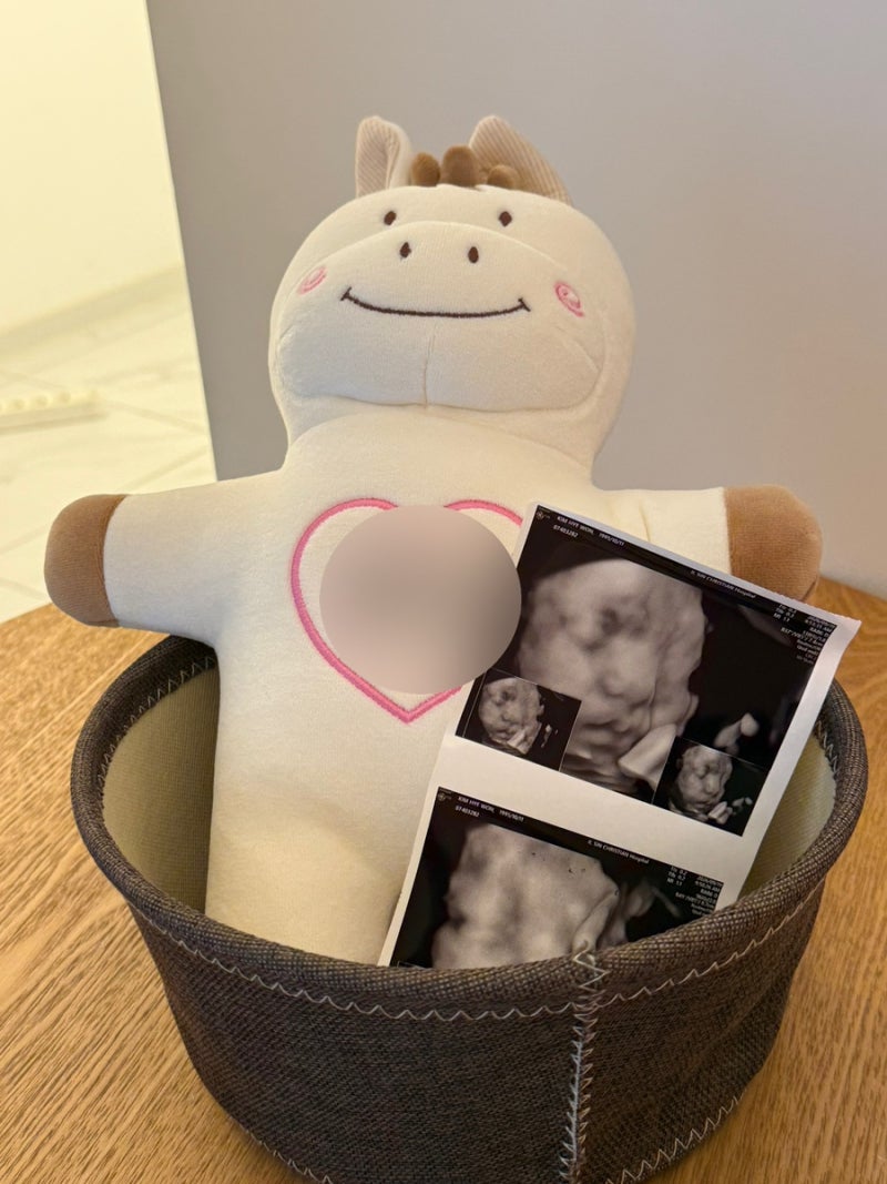 산후조리원 마미캠프 대연점 연계 무료 만삭 촬영 베이비 파스텔 해운대점 촬영 솔직 후기 / ....