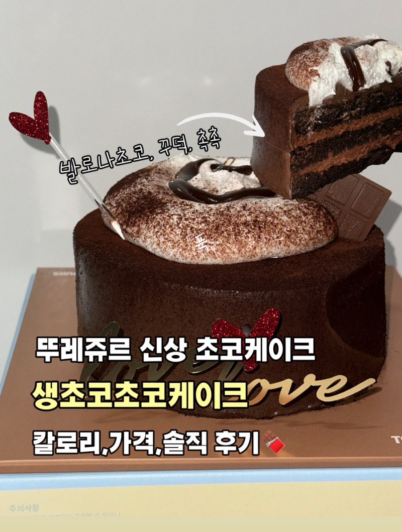 뚜레쥬르 신상 생초코초코케이크 / 생초코초코케이크 칼로리, 가격, 솔직한 후기까지⭐️