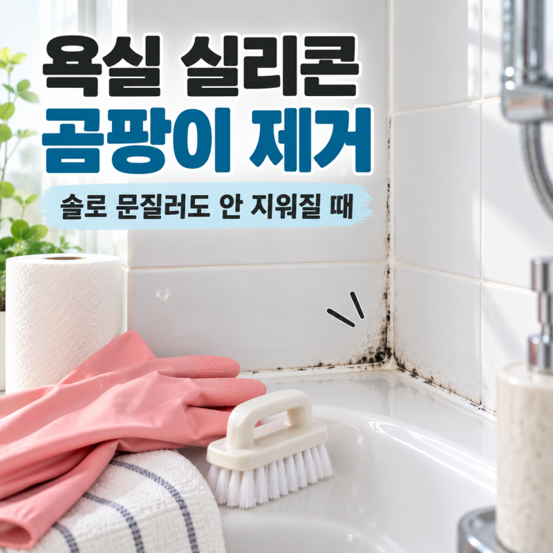 욕실 실리콘 곰팡이 제거, 솔로 문질러도 안 지워질 때