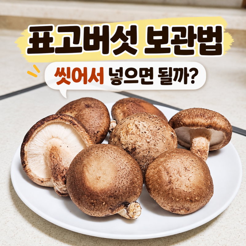 표고버섯 보관법, 냉장·냉동 어떻게 보관할까?