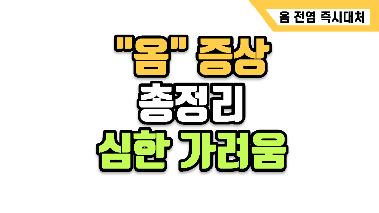 옴 증상과 온 가족 전염 잠복기 대처법 총정리, 밤마다 심해지는 가려움
