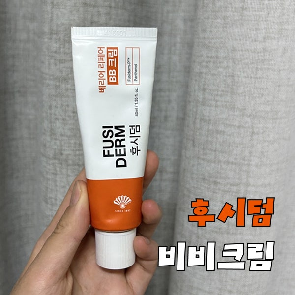 다이소 후시덤 비비 지성 피부가 써본 솔직 후기
