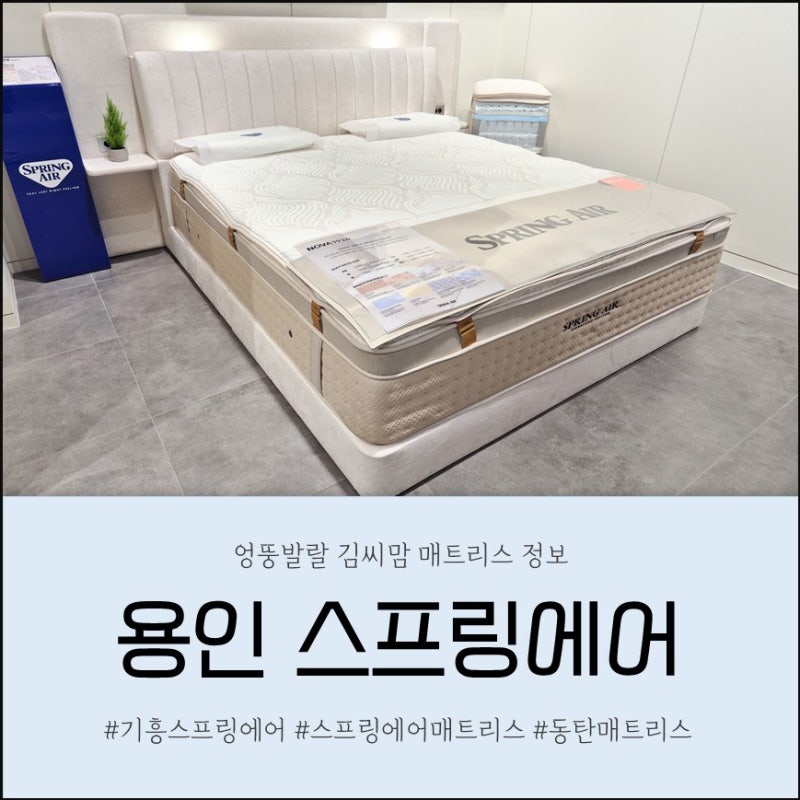 동탄 매트리스 추천 용인 스프링에어 리빙파워센터점 직접 누워본 솔직 후기