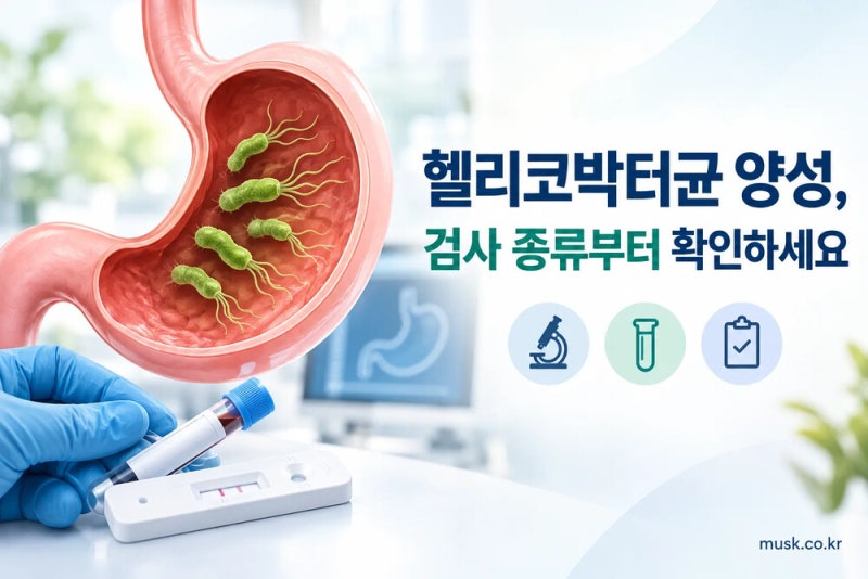 헬리코박터균 검사에서 양성이 나오면 무슨 뜻인가