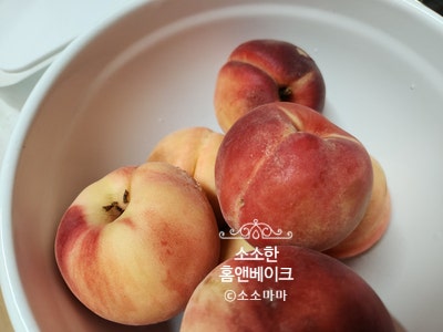 맛없는 복숭아도 맛있게! 달콤한 복숭아조림 만들기