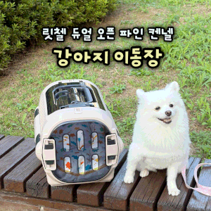 강아지 켄넬 이동장으로 릿첼 선택한 이유 직접 써본 후기