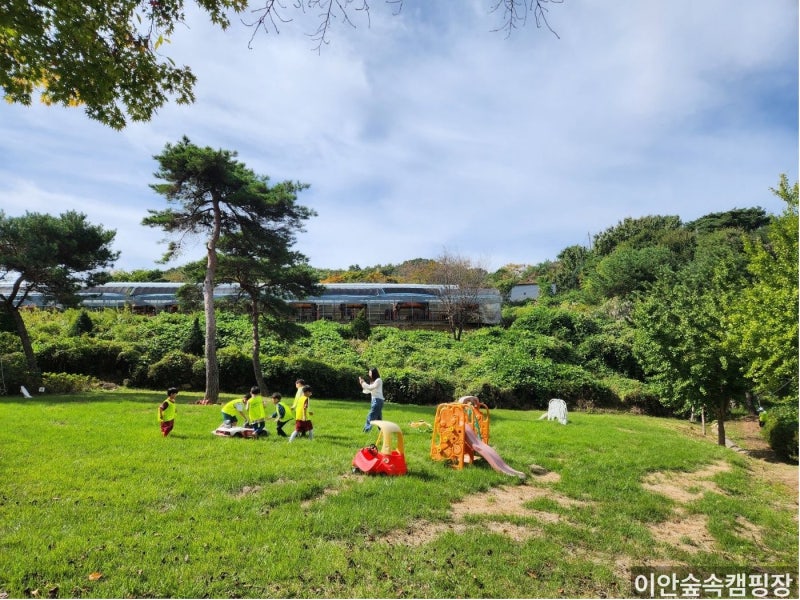 공주 수영장 캠핑장 이안숲속캠핑장, 아이와 함께 즐기는 가족 캠핑 강추