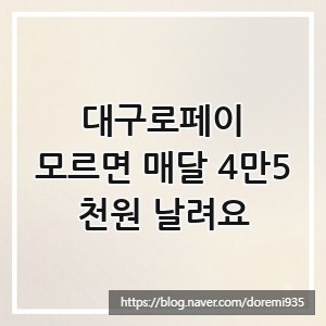 대구로페이, 모르면 매달 4만5천원 날려요