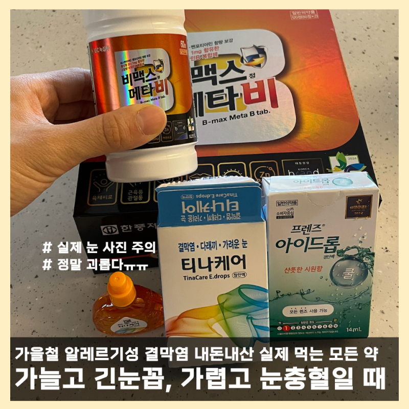가을철 알레르기성 결막염 원인, 가늘고 긴눈꼽 진짜 괴롭다ㅠ 실제 먹는 약 추천 (눈 사진 ....