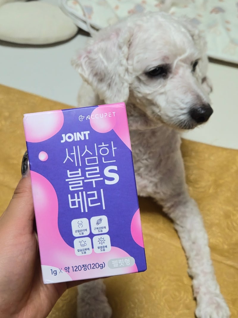 애견관절영양제 고민 끝! 아큐펫 강아지영양제추천