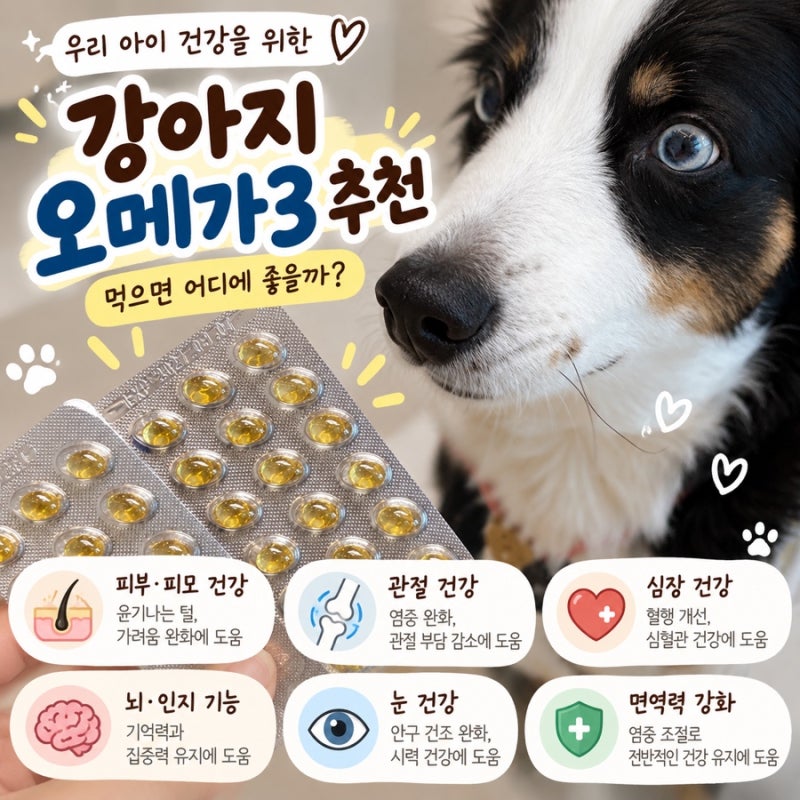 강아지오메가3추천, 먹으면 어디에 좋을 까?