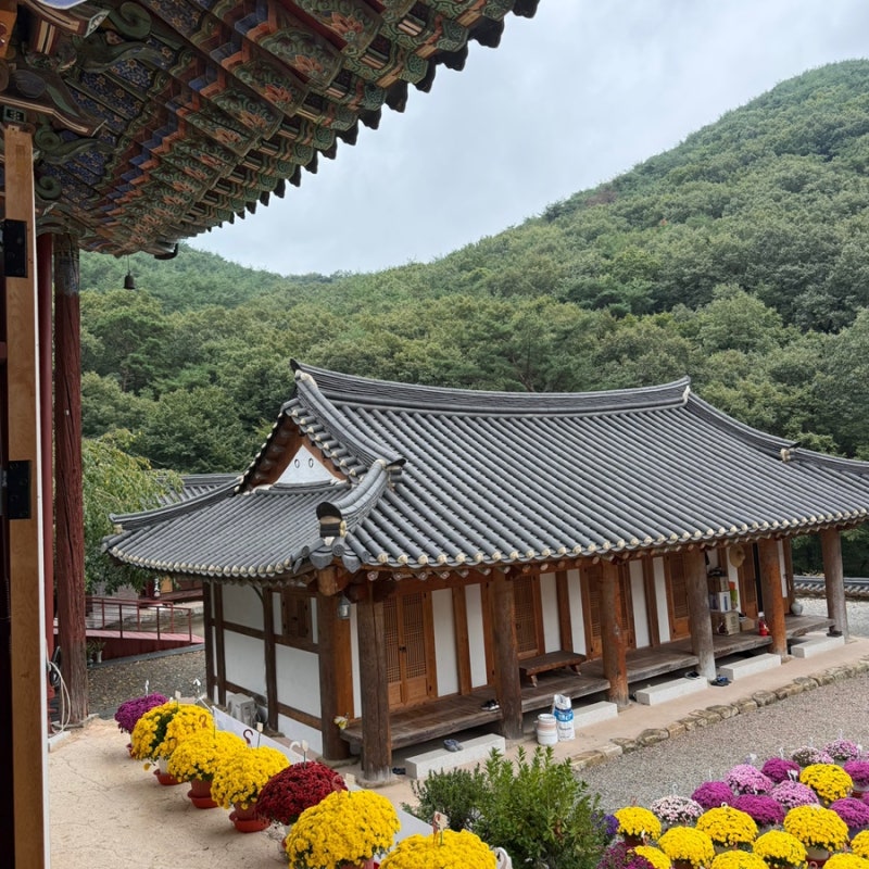 진주 청곡사ㅣ진주 인근 가볼 만한 사찰ㅣ월아산 자락 고즈넉한 사찰ㅣ 고요한 산사에서 잠....
