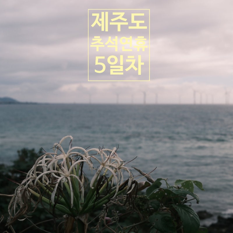 추석연휴! 제주도에 스쿠터 타고 제주여행 코스프레 5일차...