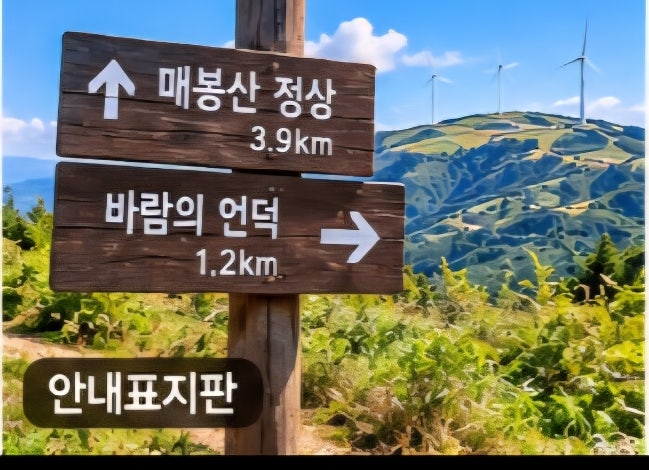 태백 매봉산 바람의 언덕 하늘과 맞닿은 고랭지 배추밭/풍력발전기가 만드는 절경