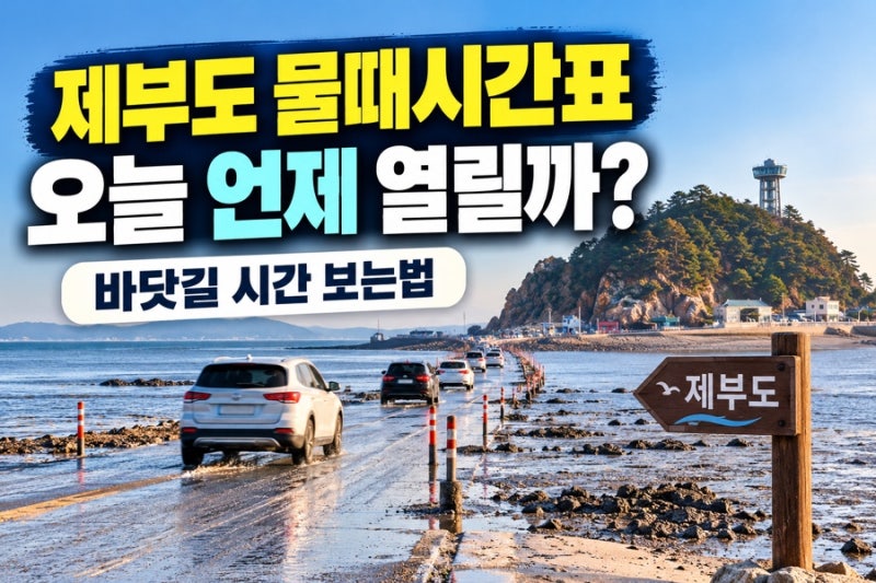 제부도 물때시간표 오늘 언제 열릴까? 바닷길 시간 보는법