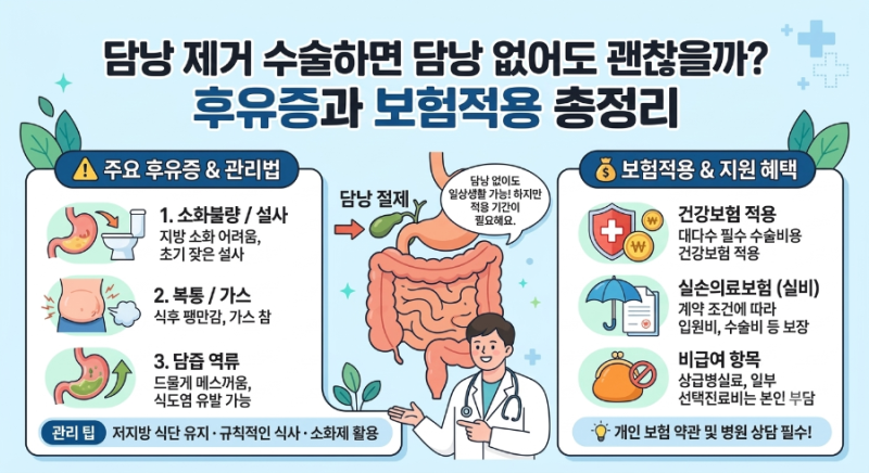 담낭 제거 수술하면 담낭 없어도 괜찮을까? 후유증과 보험적용 총정리