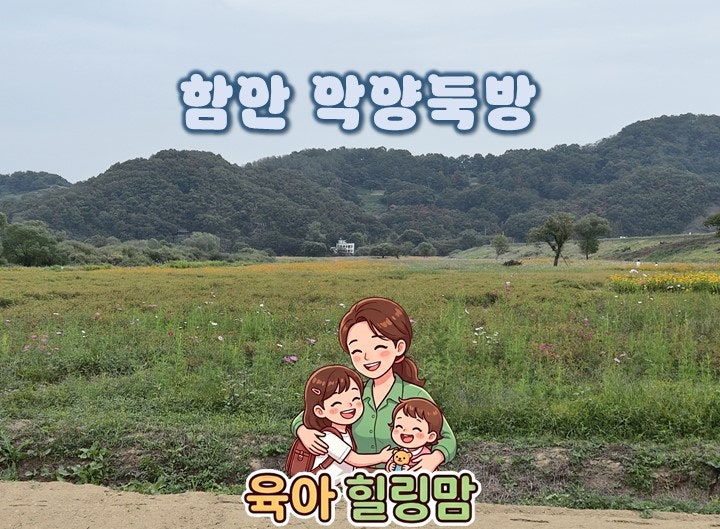 함안 악양둑방 코스모스 천일홍 경비행기 체험 가을 나들이