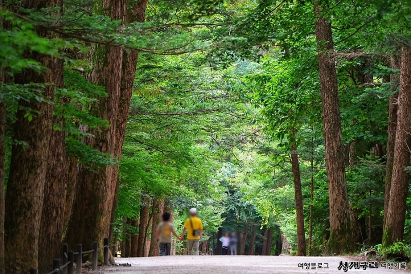 九月旅行：全北扶安旅遊景點內蘇寺