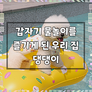 위니즈 젤리빈 펫 구명조끼 강아지 물놀이 턱받이, 썸머베어(옐로우), 1개