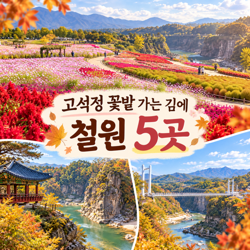 철원 가볼만한곳 5곳｜고석정 꽃밭만 보고 오기 아까운 당일치기 코스