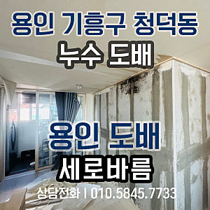 기흥구 청덕동 물푸레마을3단지 천장 누수, 곰팡이 제거 후 도배