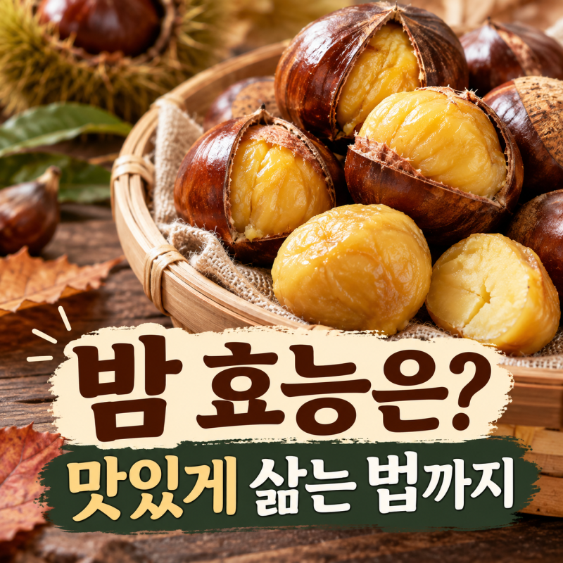 밤 효능 무엇일까? 맛있게 삶는 방법과 칼로리·부작용 정리