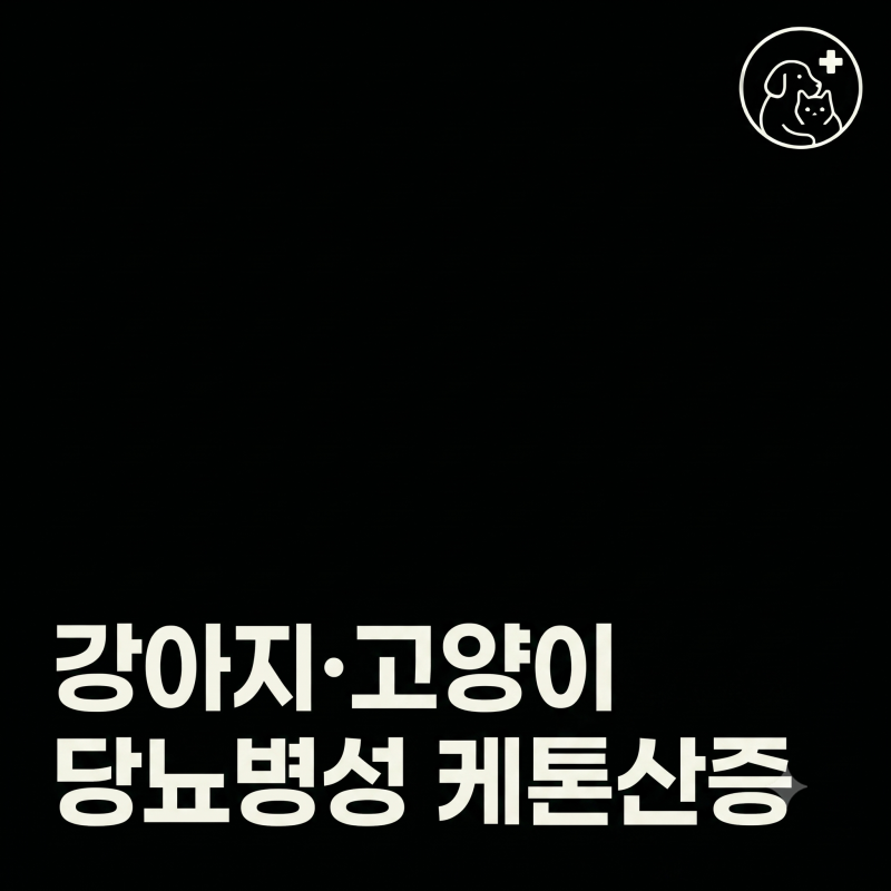 [ 인천 당뇨 동물병원 ] 강아지·고양이 당뇨병성 케톤산증(DKA) 증상과 골든타임, 응급 대처법....