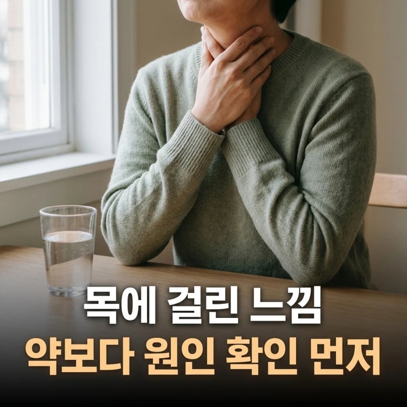 역류성 후두염 증상, 속쓰림 없는 목 이물감이라면 약보다 원인 확인이 먼저입니다