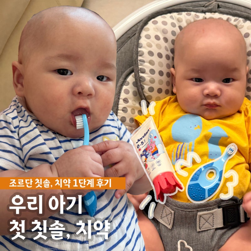 6개월 돌 아기칫솔 치약 조르단칫솔 1단계 사용 후기