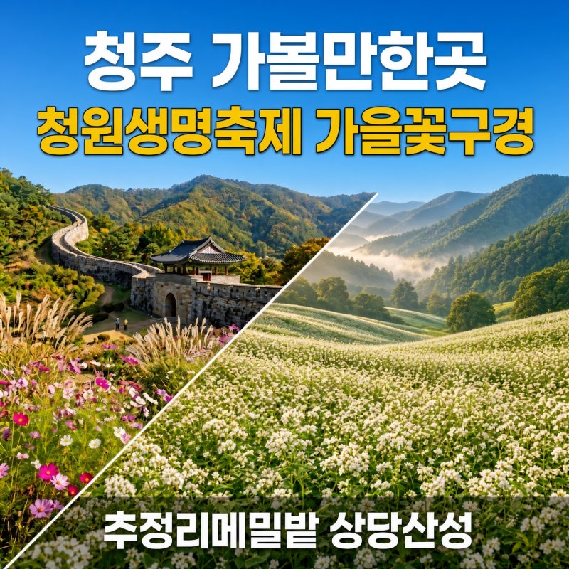 청주 가볼만한곳 청원생명축제 가수 추정리메밀밭 상당산성 청주숙소 청주호텔추천