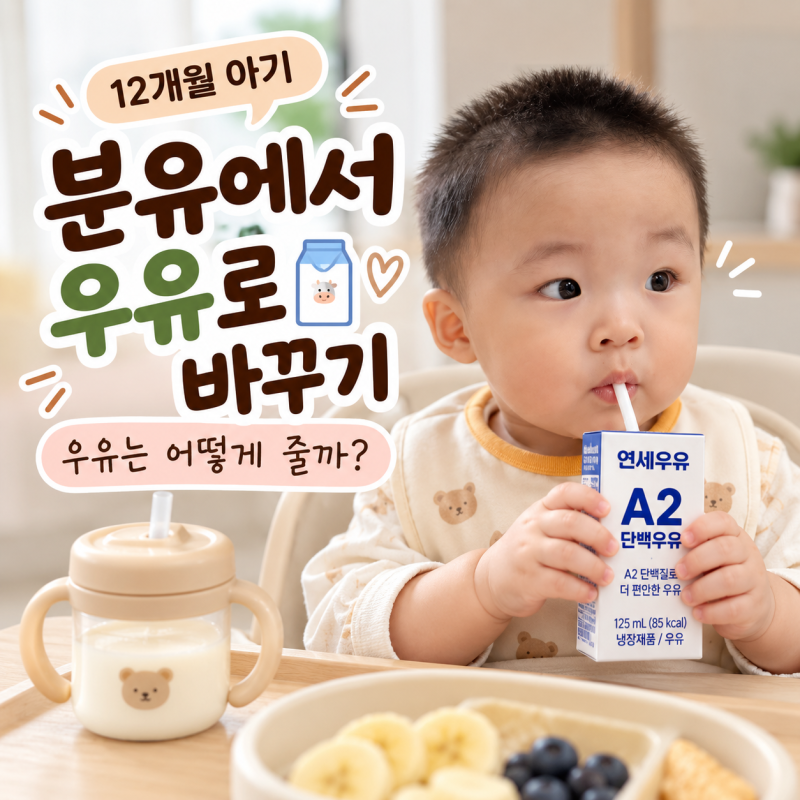 12개월 아기 분유 끊고 우유로 바꾸기｜첫수 막수 240ml 먹던 돌아기 우유 양과 시간