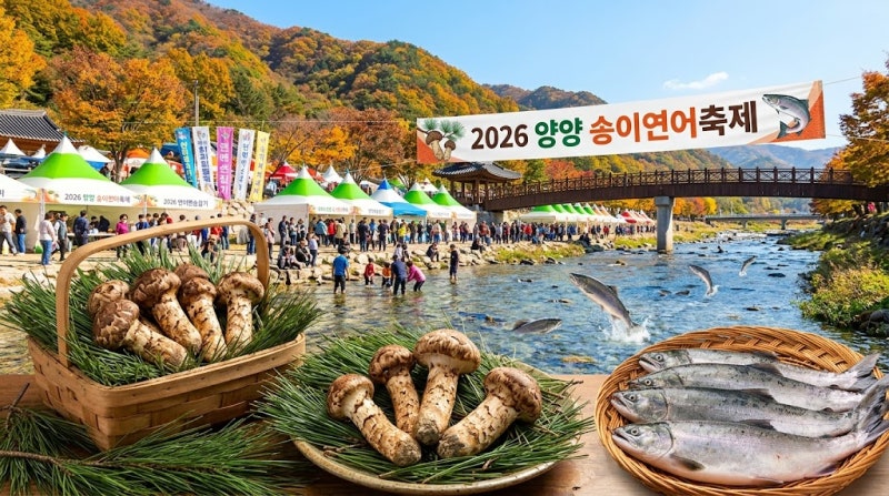 "2026 양양 송이연어축제" 일정부터 사전예약·체험비 할인 꿀팁 총정리