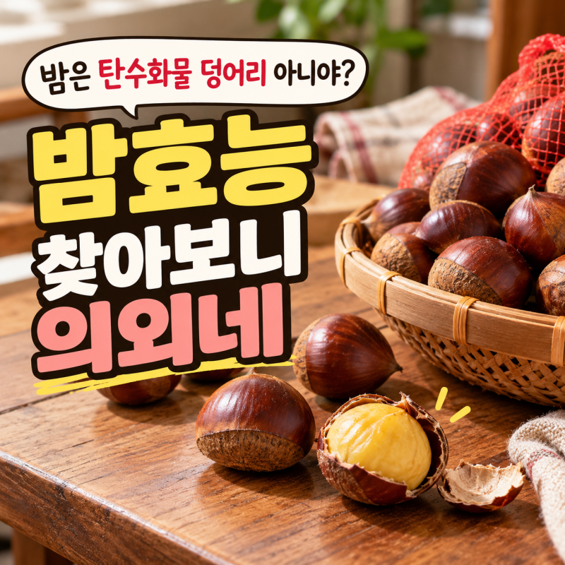 밤은 탄수화물 덩어리 아니야? 밤효능 찾아보니 의외네