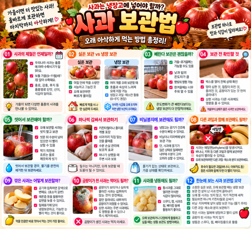 사과는 냉장고에 넣어야 할까? 오래 아삭하게 먹는 사과 보관법
