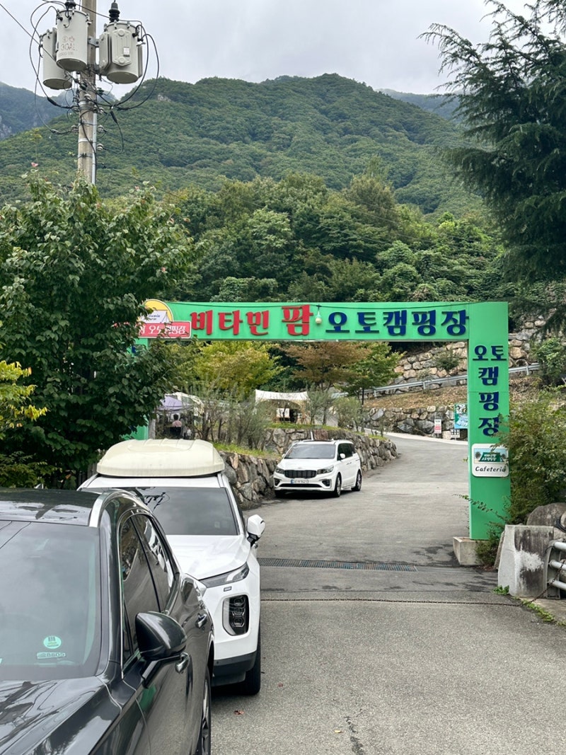 ️ [캠핑장 리뷰] 수영장부터 완벽한 먹방·불멍까지! 밀양 '비타민팜 오토캠핑장' 방문
