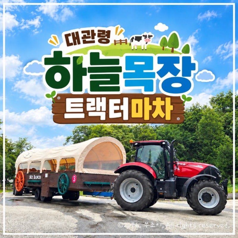 평창 대관령 하늘목장 트랙터마차 타고 전망대 정상까지